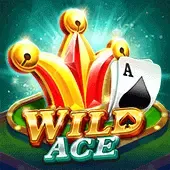 Wild Ace